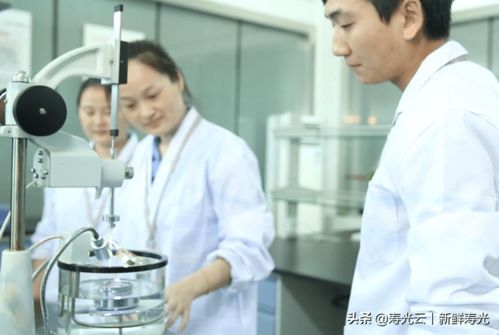 宏源防水 創新賦能，譜寫綠色建筑新篇章